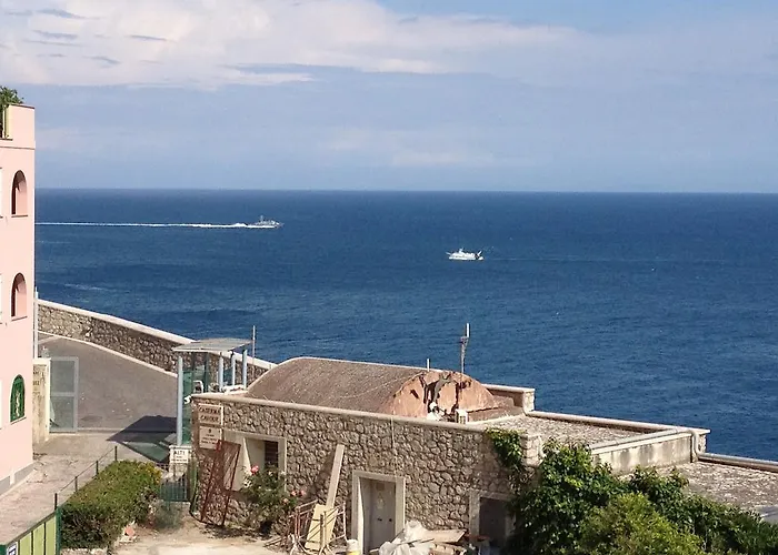 Guarinelli 88